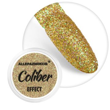 Sclipici fin cu efect holographic- Coliber Effect 10 - CE-10 - Everin.ro