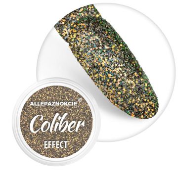 Sclipici fin cu efect holographic- Coliber Effect 12 - CE-12 - Everin.ro