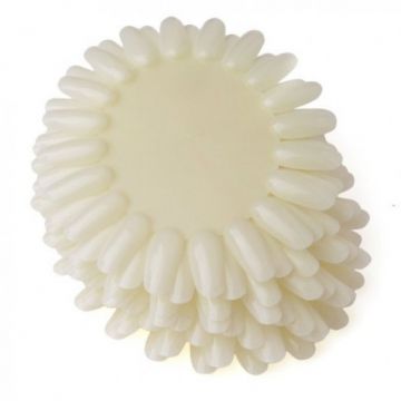 Paletar expunere culori 200 pozitii