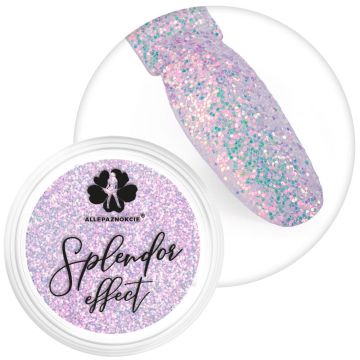 Sclipici Splendor Effect Nr.4 - Everin