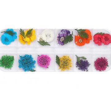Flori uscate decor unghii ndf-31