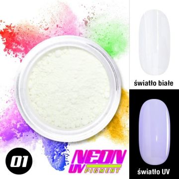 Pigment neon unghii PN1 -