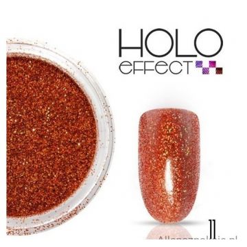 Sclipici holographic- 11