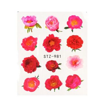 Tatuaj decor unghii STZ-981