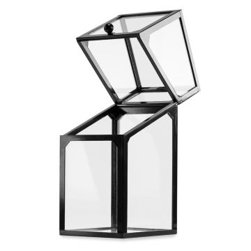 Cutie de depozitare din sticla