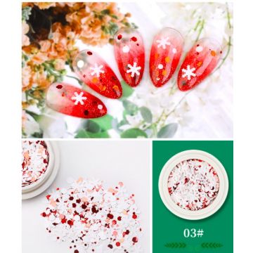 Decor Craciun butoias 03